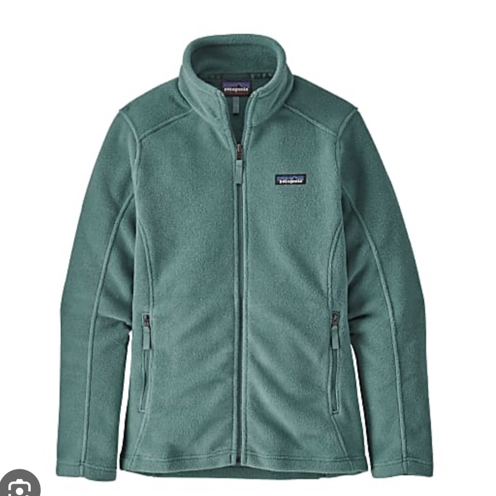 Classic Synchilla Jacket in Green